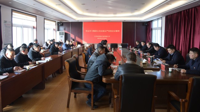 淮海召開貫徹落實(shí)集團(tuán)公司全面從嚴(yán)治黨工作會(huì)議