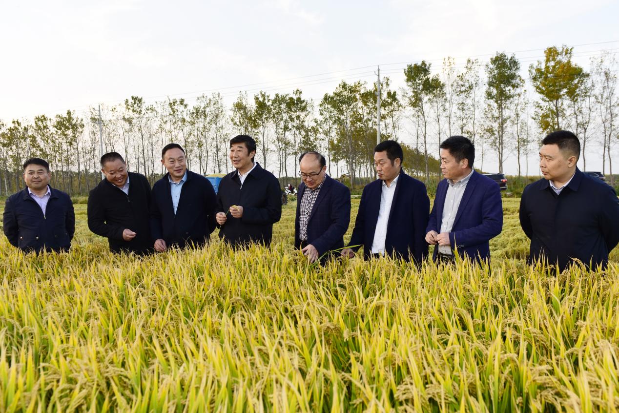 胡兆輝到淮?？疾煺{(diào)研.jpg