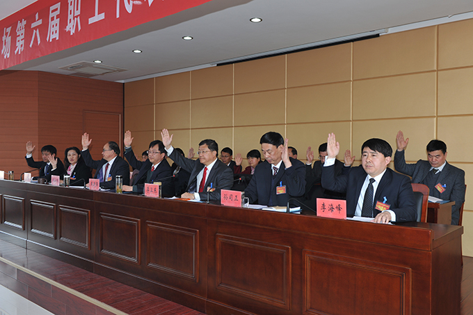 江蘇省淮海農(nóng)場召開六屆九次職代會5.jpg